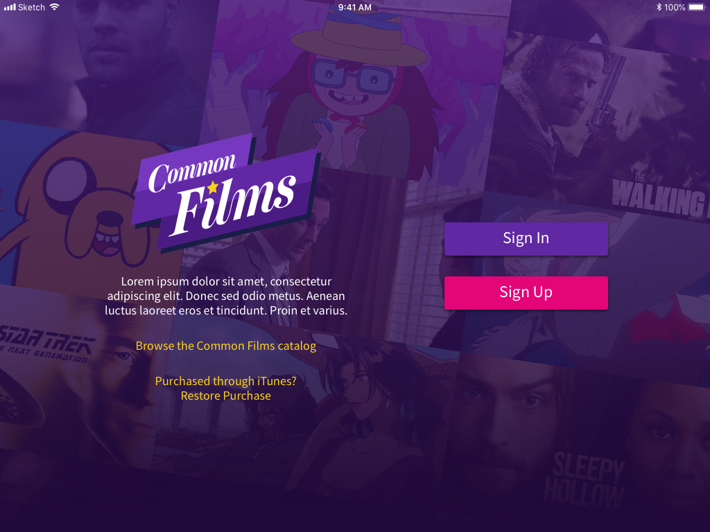 Promo screen on iPad landscape