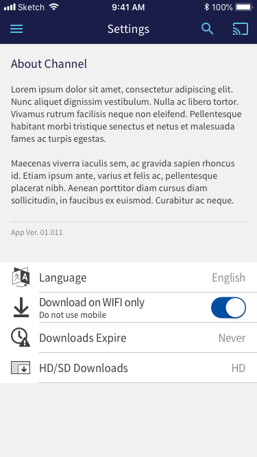 Settings screen on iPhone