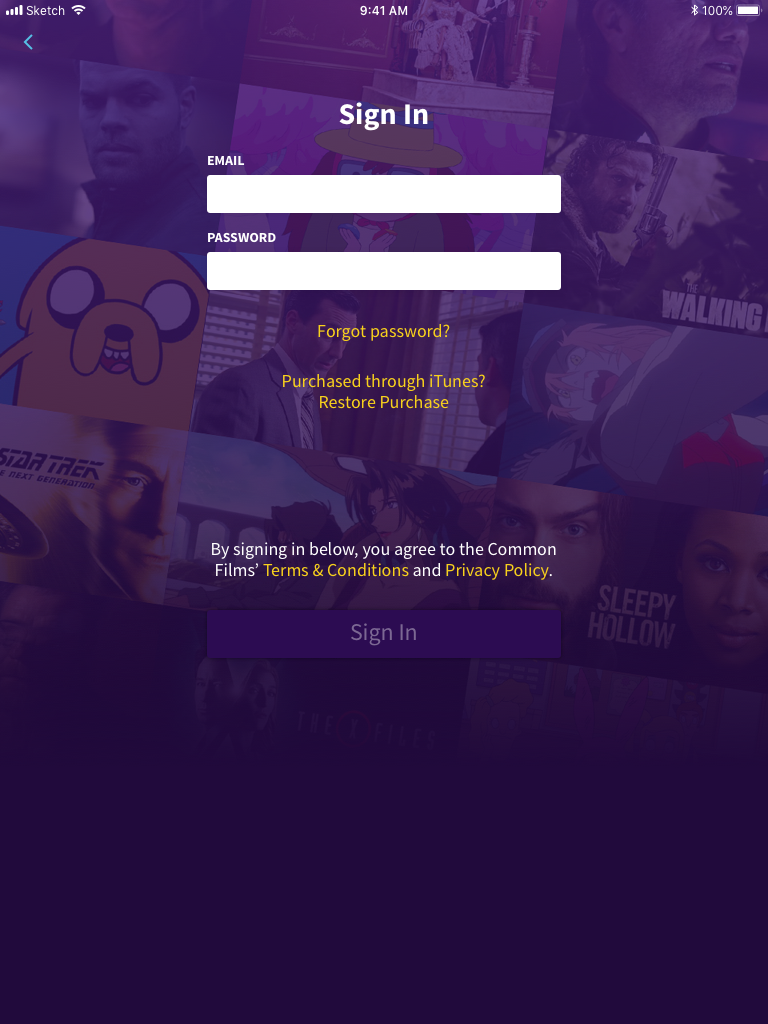 Sign In screen on iPad portrait